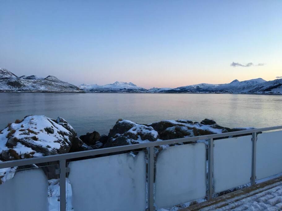 Hytte Ved Sjoen Napp エクステリア 写真